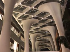 -三亚湾红树林国际会展中心(演出售票)