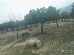 -西安秦岭野生动物园