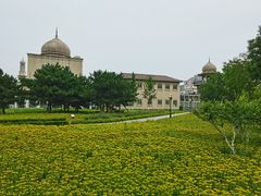 -北京园博大酒店