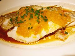 蒸鲈鱼-汤城小厨•粤菜•靓汤(金宝街店)