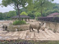 -杭州野生动物世界