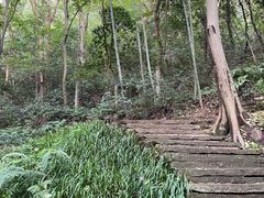 -杭州黄龙洞
