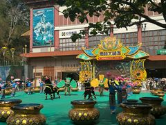 -西双版纳原始森林公园