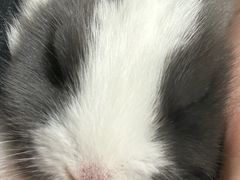 -扶摇树下·椒麻鲜活虾(石家庄勒泰广场店)