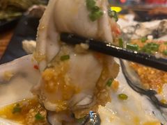 -土蚝·高压锅生蚝(百姓美食街店)