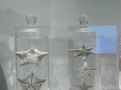 -四川大学博物馆