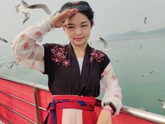 -长岛万鸟岛