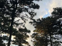 -北京西山国家森林公园