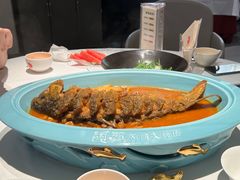 -阿五黄河大鲤鱼(英协路店)