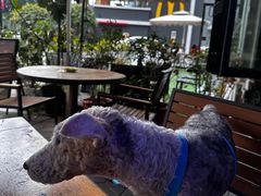 -1128港式茶餐厅(嘉信广场店)