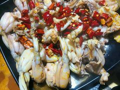 -销魂美蛙鱼头火锅(上海首店)