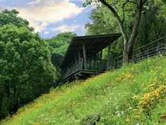 -西湖风景区-江洋畈生态公园