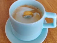 -柴犬小屋·柴餐厅·狗咖食堂(金鼎广场店)