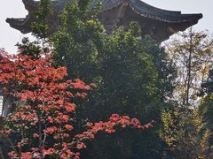 -武汉园博园(武汉自然博物馆)