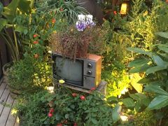 -胡桃里乐队酒馆(鎏嘉码头店)