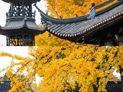 -西园戒幢律寺