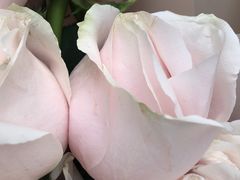 -那些花儿鲜花店(小寨店)