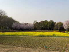 -郑州植物园