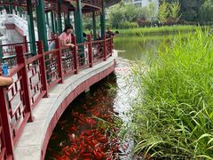 -西海子公园