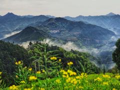 -新安江山水画廊风景区