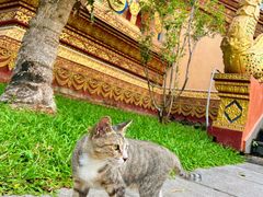 -西双版纳总佛寺