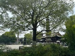 -香积寺