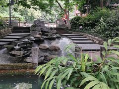 -成都市活水公园