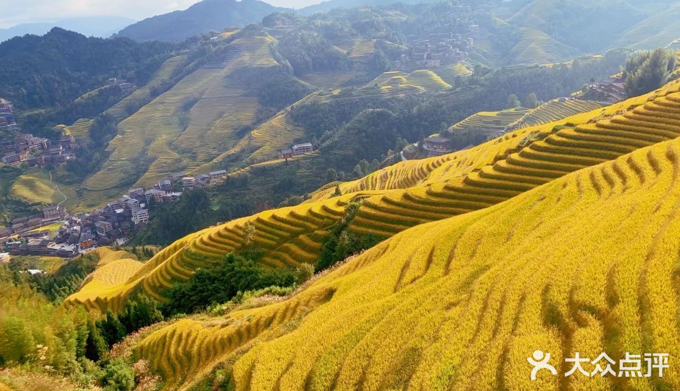 龙脊“梯田”带你感受大自然的馈赠🍃