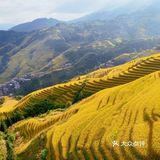 龙脊“梯田”带你感受大自然的馈赠🍃