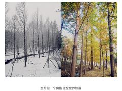 -白水寺森林公园
