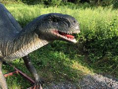 -武陵山森林公园