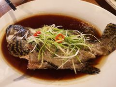 -竹林小屋(库塔店)
