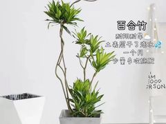 -京东家装(昆明总店)