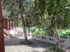 -莲池书院博物馆