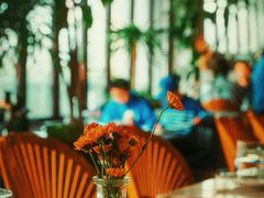 -the rug 飞毯 (朝阳公园店)