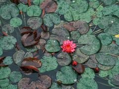 -国家植物园南园