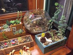 -治愈系甜品The Soothing Dessert(科海大楼店)