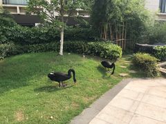 -行者书屋大堂吧 ·下午茶(南京圣和府邸酒店)