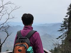 -秦岭天竺山生态文化旅游景区