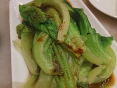 -金鼎轩(方庄天坛店)