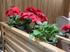 -鹏城人家海鲜酒家·23年老字号(较场尾店)