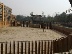 -太原动物园