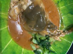 -新光酒家·河豚·海鲜·蟹料理(浦东店)