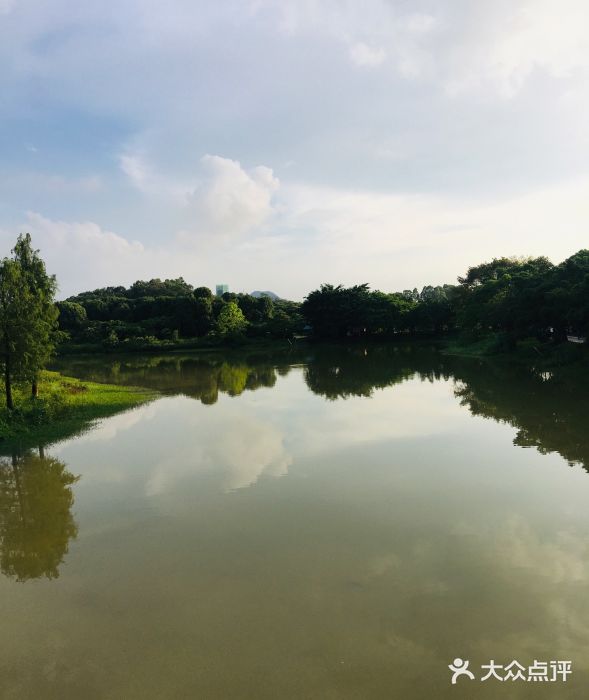 松山湖南湖湾露营营地图片
