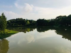 -松山湖南湖湾露营营地