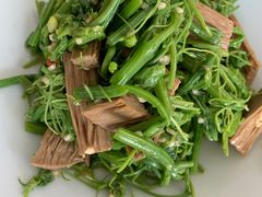 -食家鸽园
