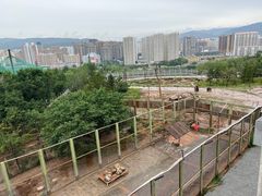 -青藏高原野生动物园