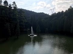 -广州市帽峰山景区