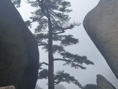-天柱山风景区