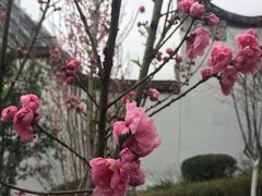 -乌山风景区